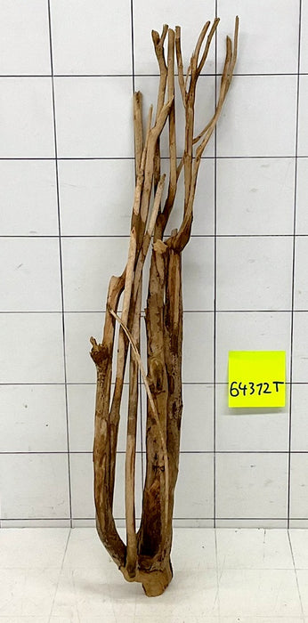 64312T Talawa Wurzel Holz