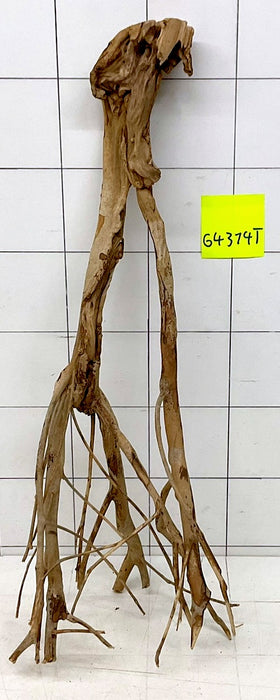 64314T Talawa Wurzel Holz
