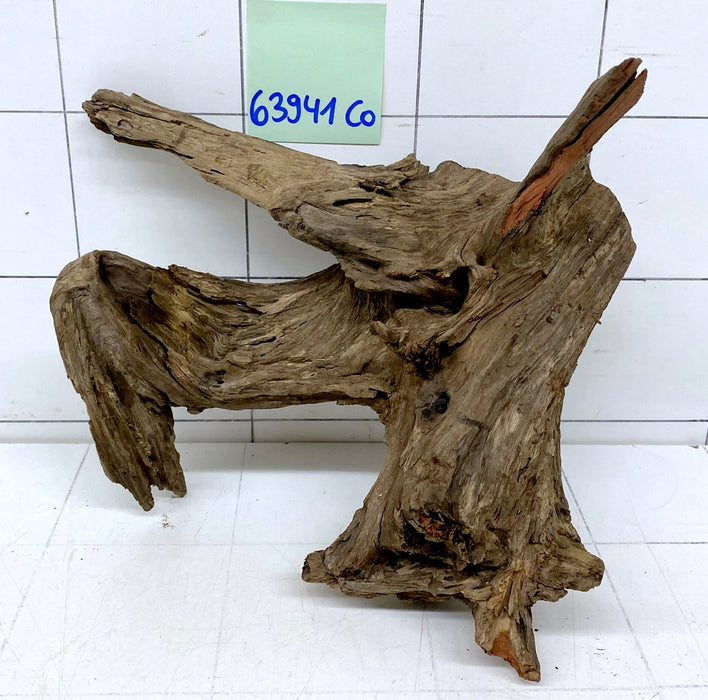 63941CO - Corbo Wurzel Holz