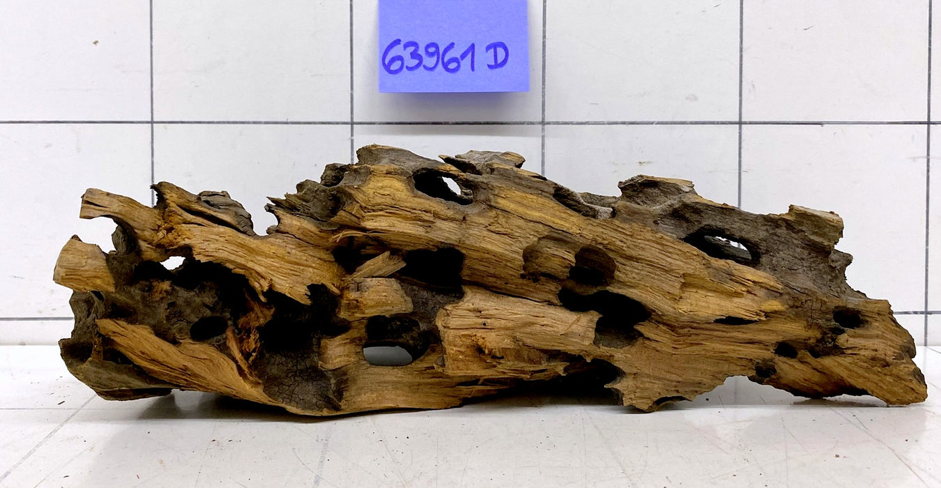 63961D - Drachenholz / Dragonwood