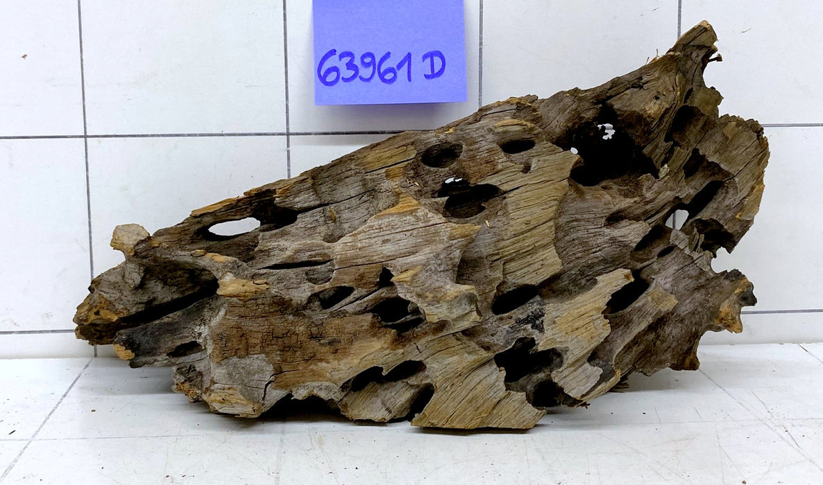 63961D - Drachenholz / Dragonwood
