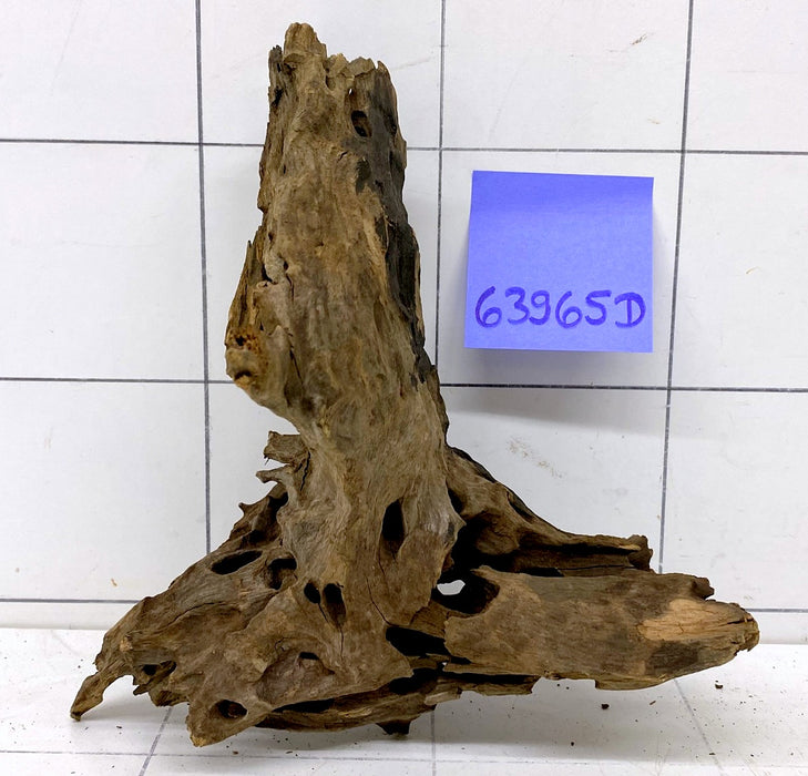 63965D - Drachenholz / Dragonwood