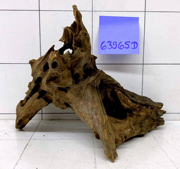 63965D - Drachenholz / Dragonwood