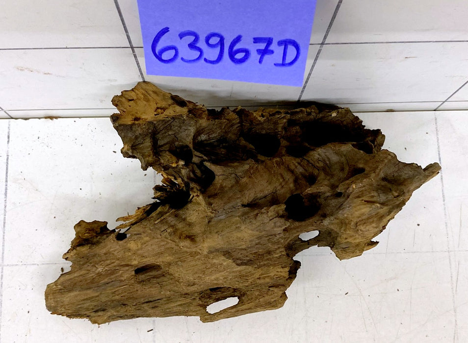 63967D - Drachenholz / Dragonwood