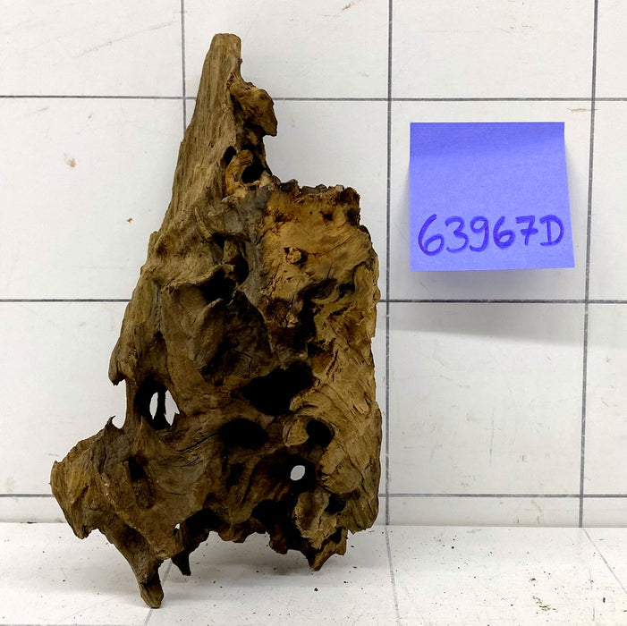 63967D - Drachenholz / Dragonwood