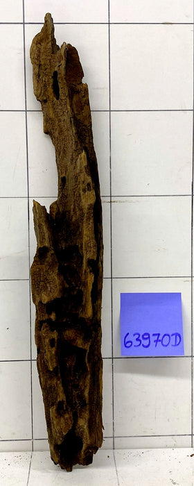 63970D - Drachenholz / Dragonwood