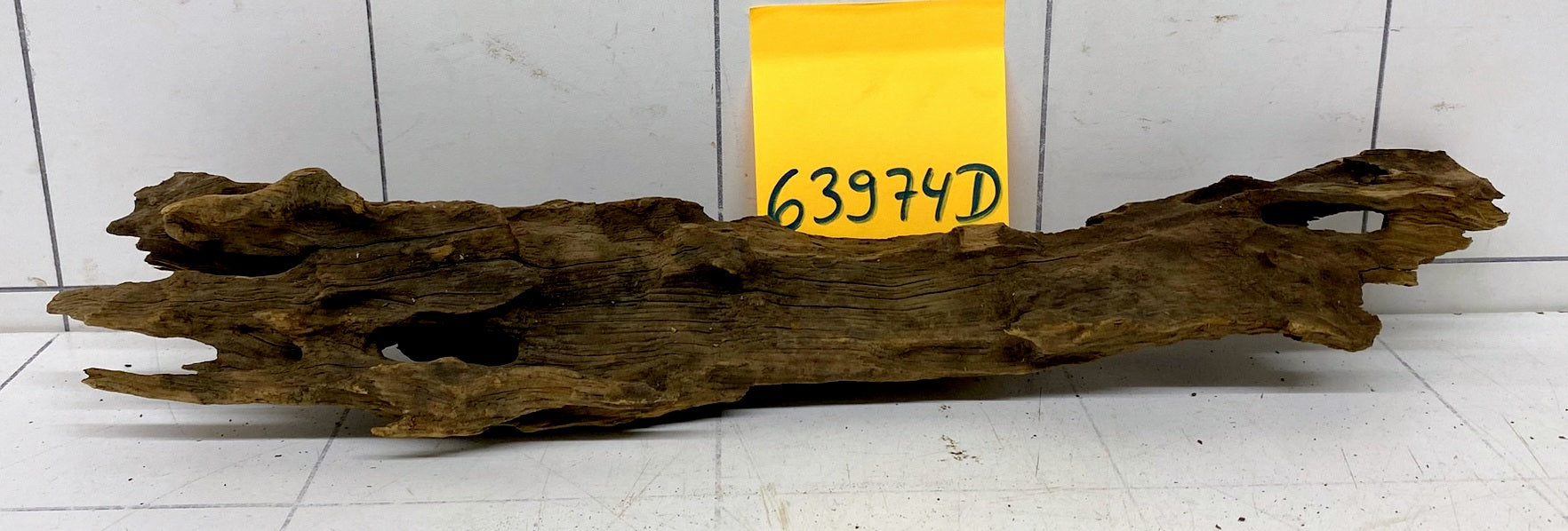 63974D - Drachenholz / Dragonwood