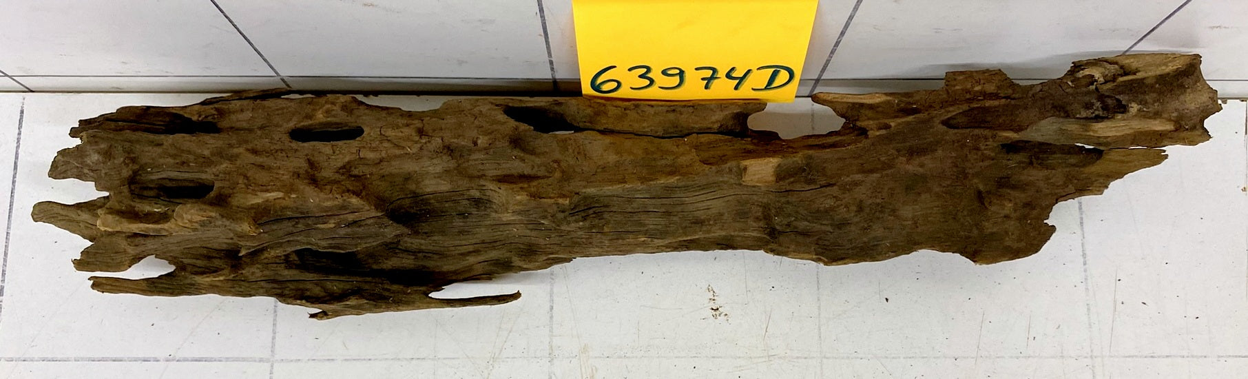 63974D - Drachenholz / Dragonwood