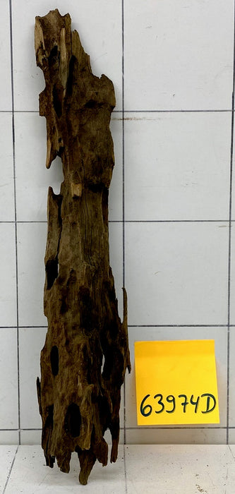 63974D - Drachenholz / Dragonwood