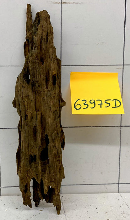 63975D - Drachenholz / Dragonwood