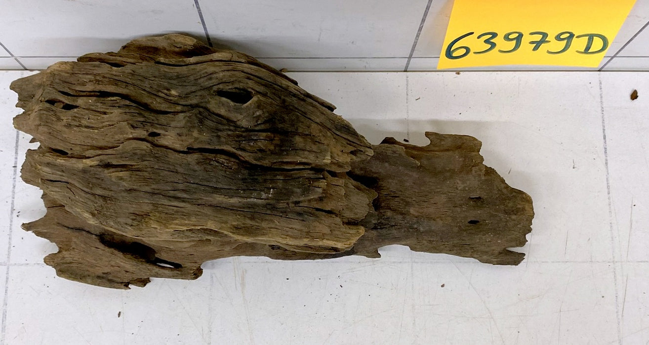 63979D - Drachenholz / Dragonwood