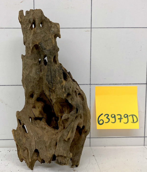 63979D - Drachenholz / Dragonwood