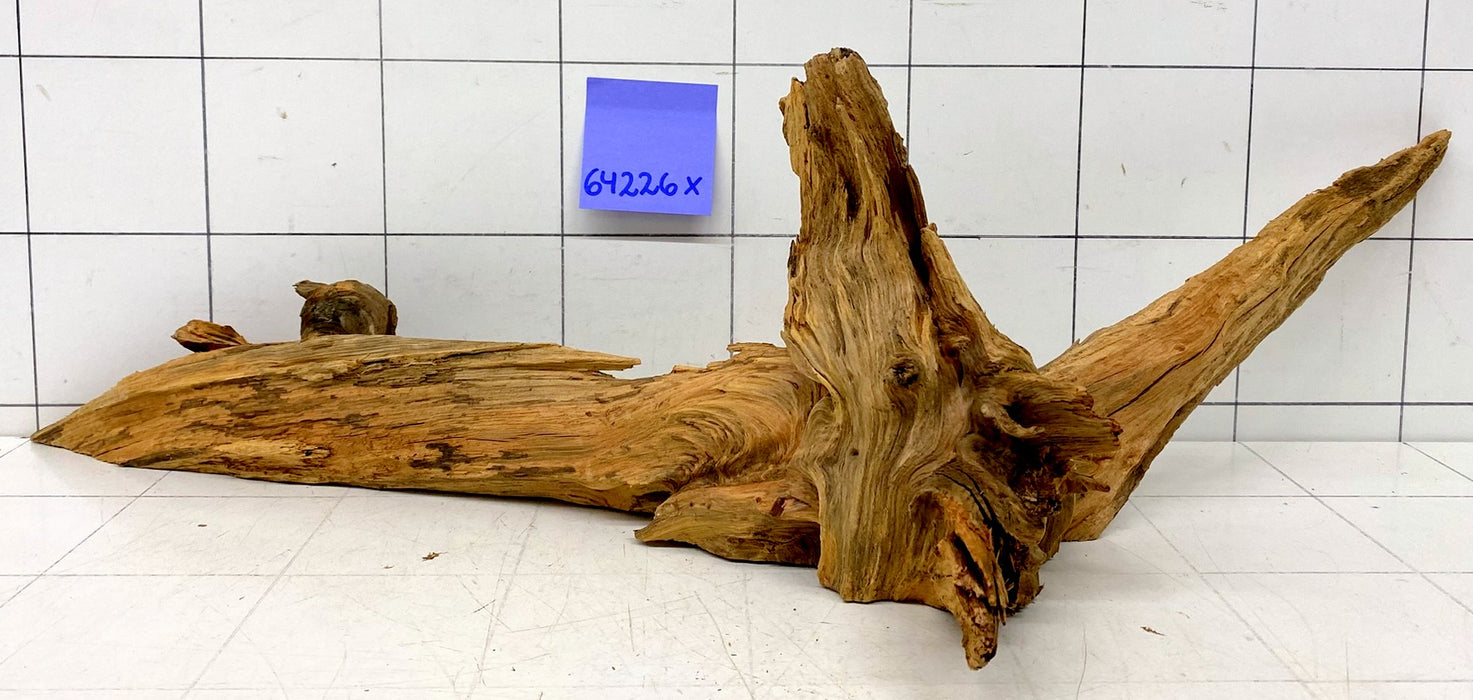 64226X - XINGU Wood Wurzelholz mit geschnittener Grundfläche