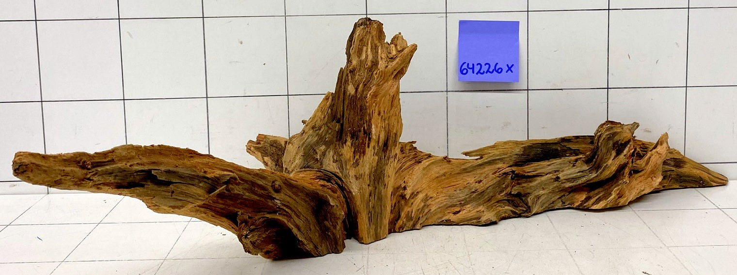64226X - XINGU Wood Wurzelholz mit geschnittener Grundfläche