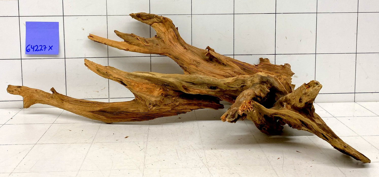 64227X - XINGU Wood Wurzelholz