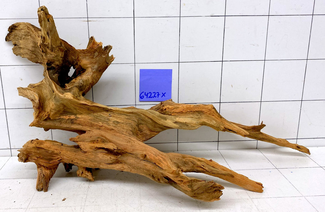 64227X - XINGU Wood Wurzelholz