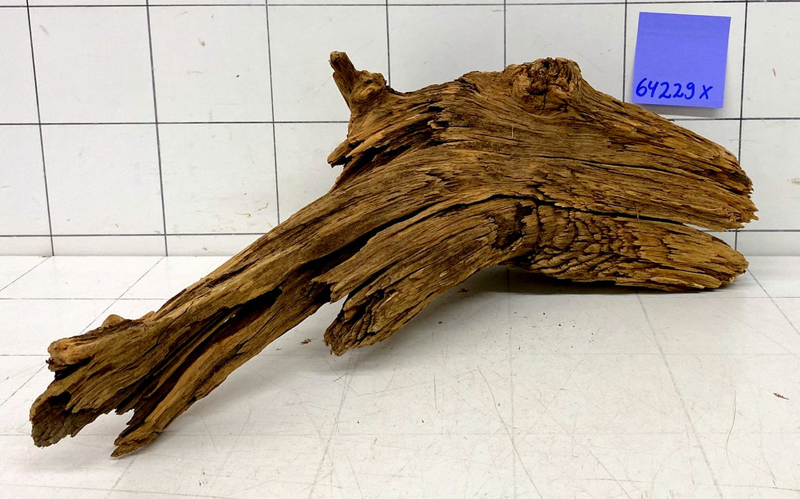 64229X - XINGU Wood Wurzelholz