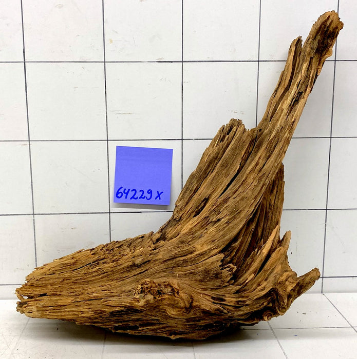 64229X - XINGU Wood Wurzelholz