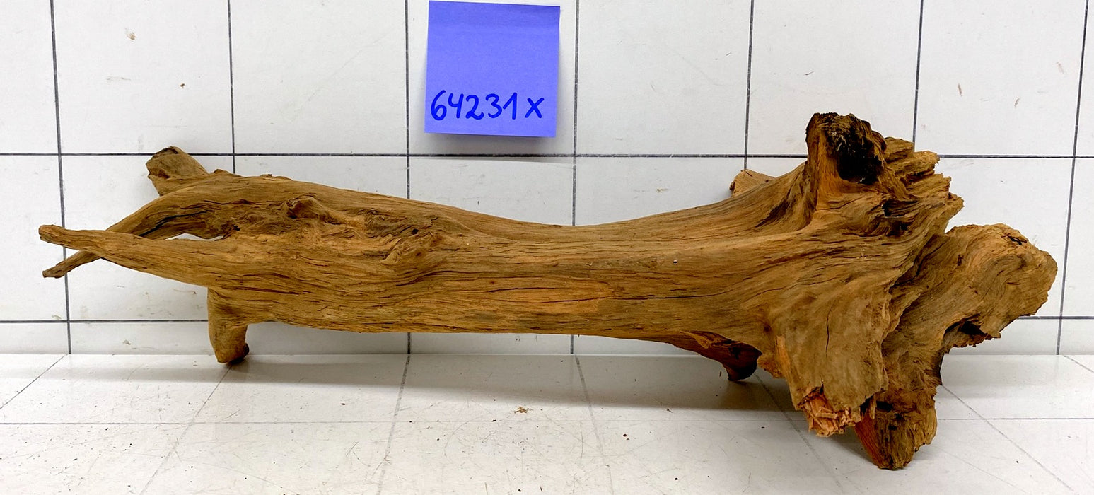 64231X - XINGU Wood Wurzelholz