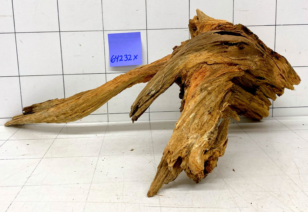 64232X - XINGU Wood Wurzelholz mit geschnittener Grundfläche