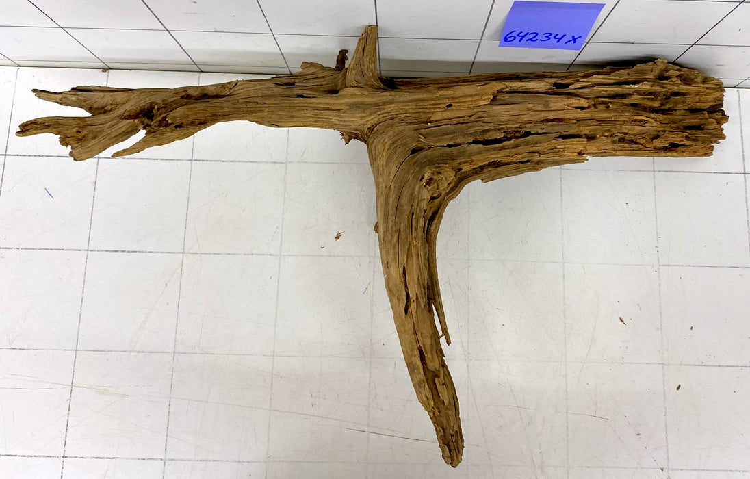 64234X - XINGU Wood Wurzelholz