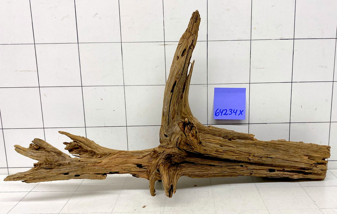 64234X - XINGU Wood Wurzelholz