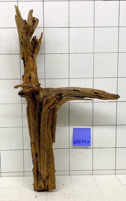 64234X - XINGU Wood Wurzelholz