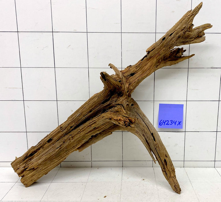 64234X - XINGU Wood Wurzelholz