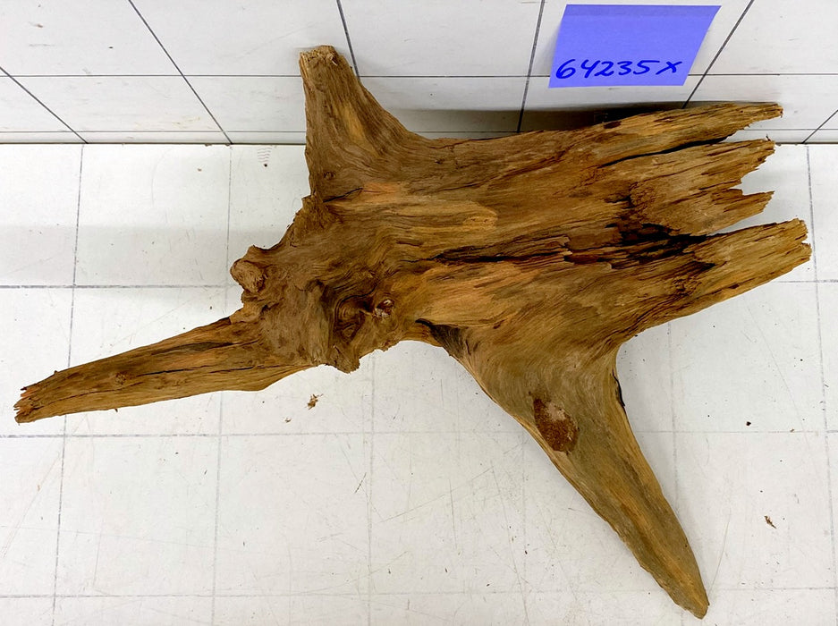 64235X - XINGU Wood Wurzelholz