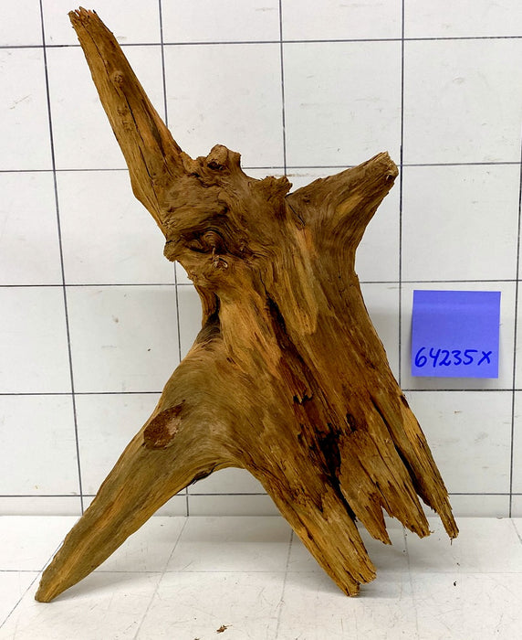 64235X - XINGU Wood Wurzelholz