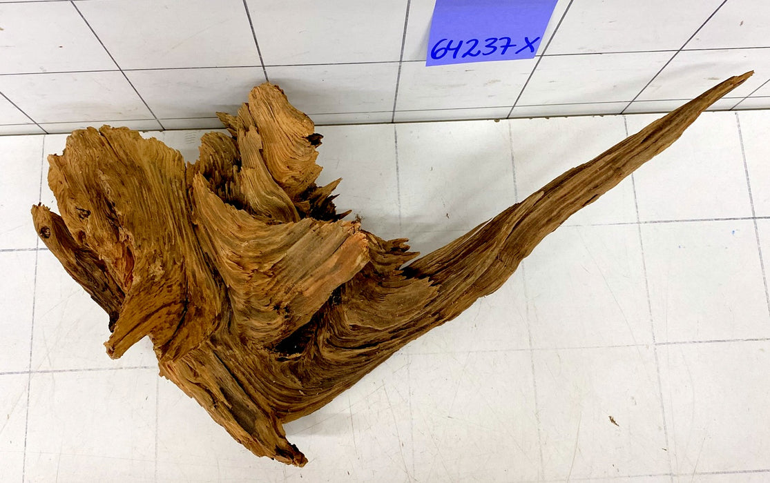 64237X - XINGU Wood Wurzelholz