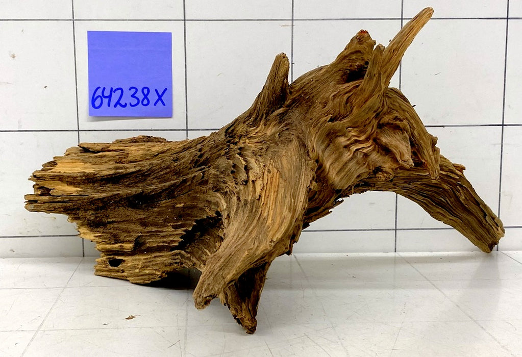 64238X - XINGU Wood Wurzelholz