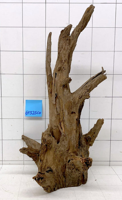 64325CO - Corbo Wurzel Holz