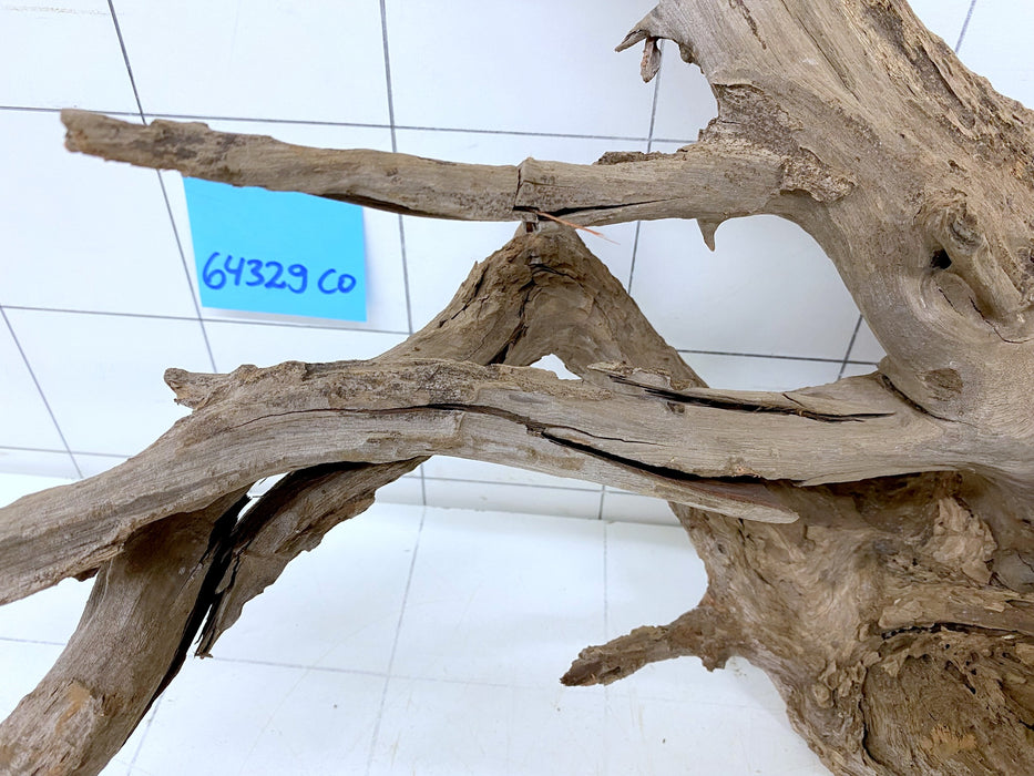 64329CO - Corbo Wurzel Holz
