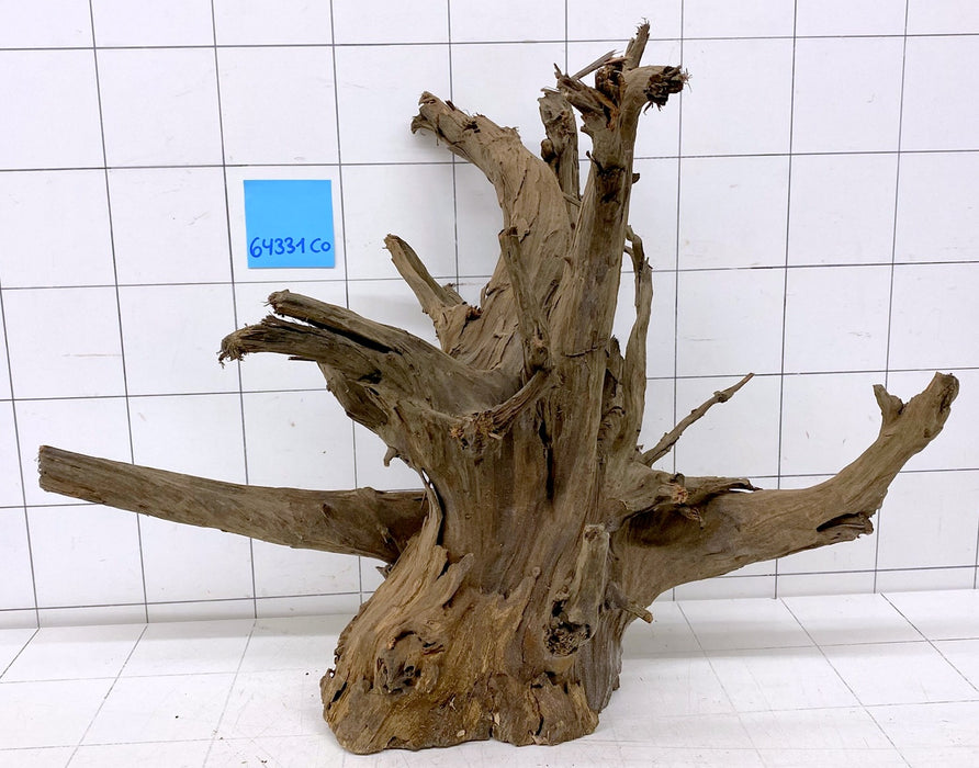 64331CO - Corbo Wurzel Holz