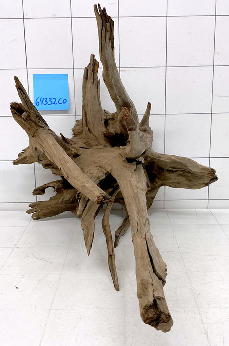 64332CO - Corbo Wurzel Holz
