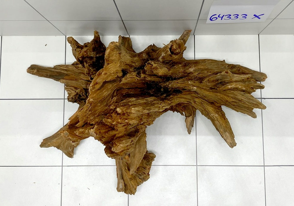 64333X -  XINGU Wood Wurzelholz mit geschnittener Grundfläche