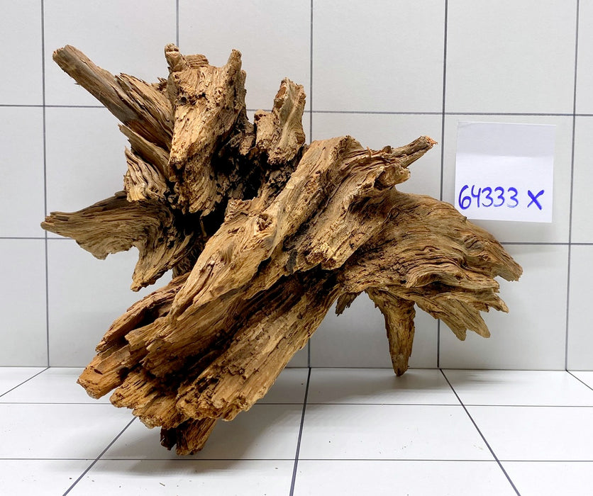 64333X -  XINGU Wood Wurzelholz mit geschnittener Grundfläche