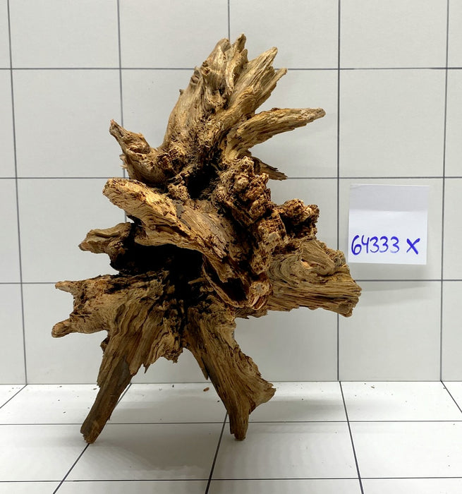 64333X -  XINGU Wood Wurzelholz mit geschnittener Grundfläche