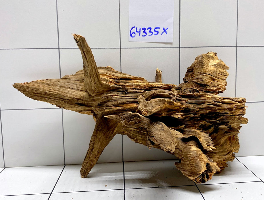 64335X -  XINGU Wood Wurzelholz mit geschnittener Grundfläche