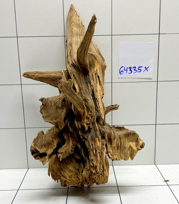 64335X -  XINGU Wood Wurzelholz mit geschnittener Grundfläche