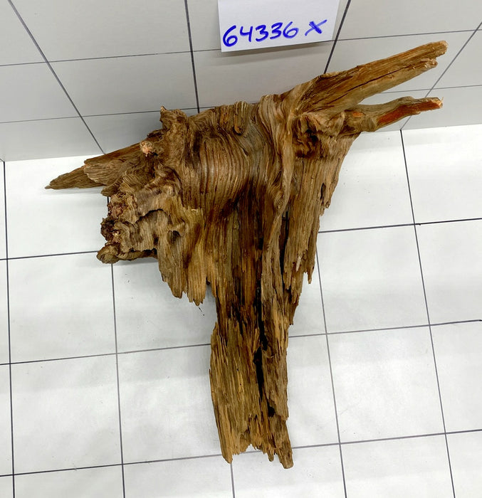 64336X -  XINGU Wood Wurzelholz mit geschnittener Grundfläche
