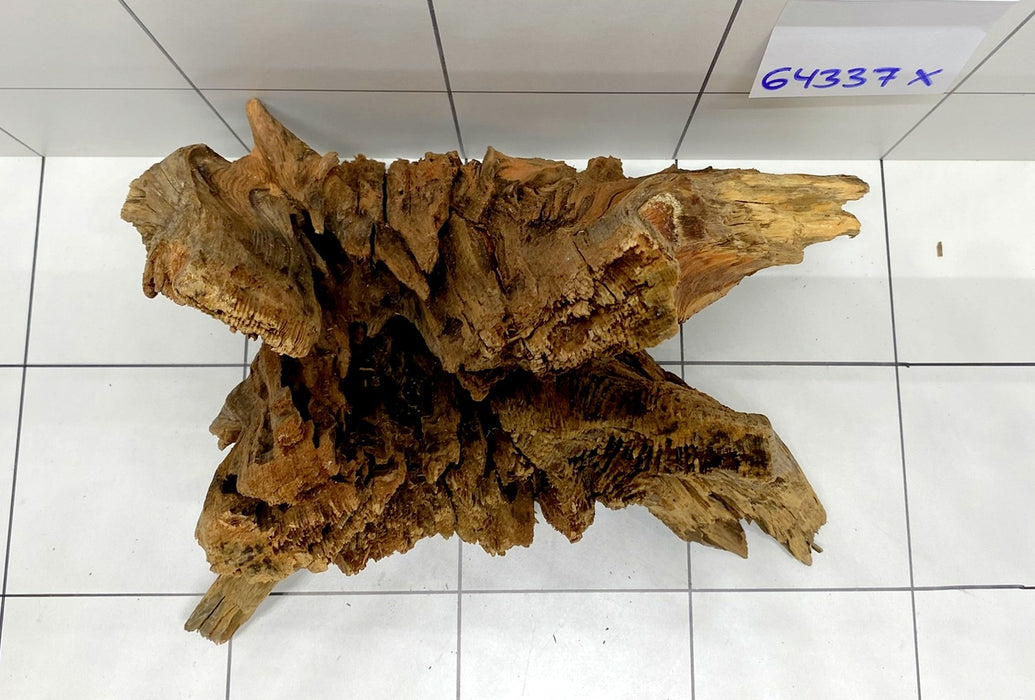 64337X -  XINGU Wood Wurzelholz mit geschnittener Grundfläche