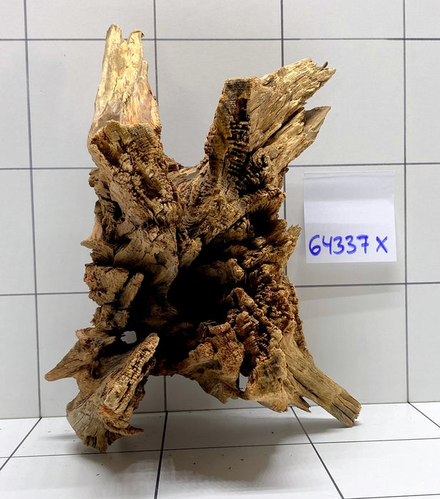64337X -  XINGU Wood Wurzelholz mit geschnittener Grundfläche