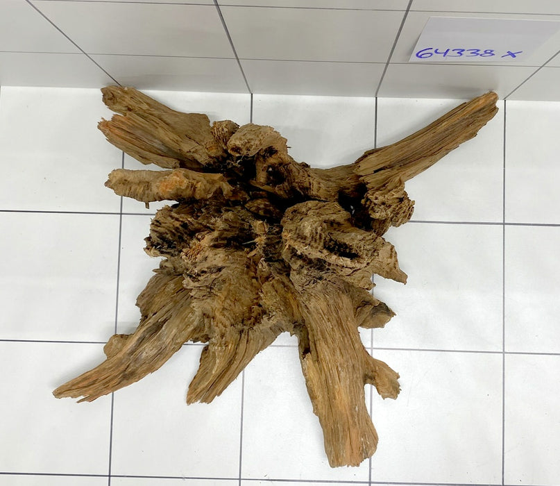64338X - XINGU Wood Wurzelholz mit geschnittener Grundfläche