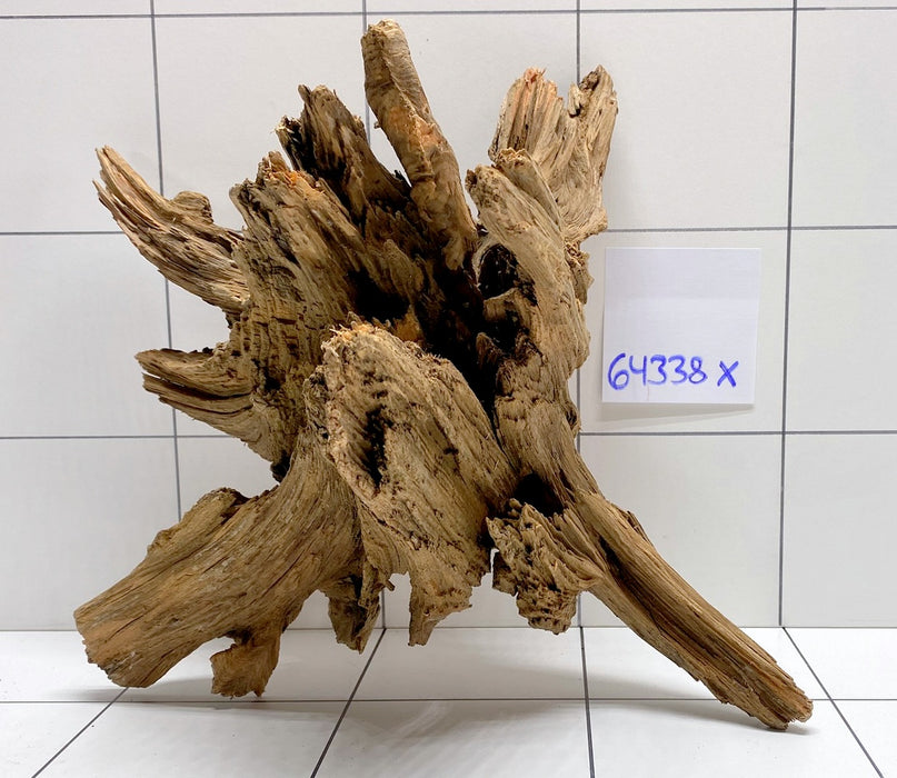 64338X - XINGU Wood Wurzelholz mit geschnittener Grundfläche