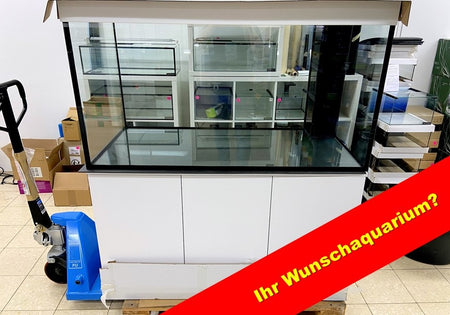 IHR WUNSCHAQUARIUM? image