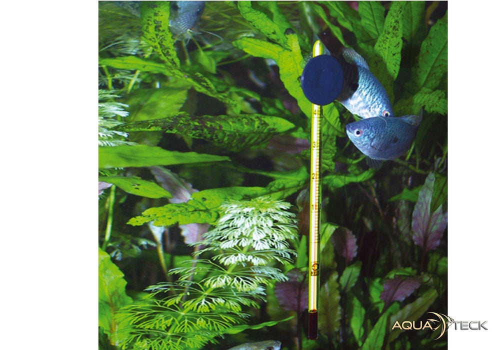 JBL Aquarium Thermometer Slim aqua-teck