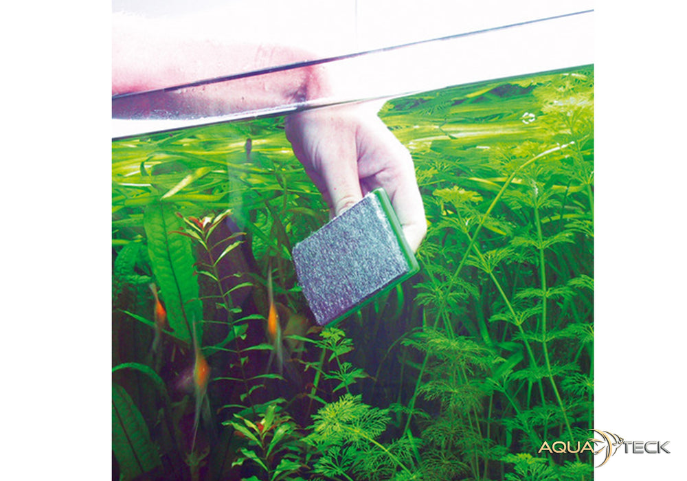 JBL Blanki aqua-teck