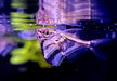 Marmor-Beilbauch - Carnegiella strigata aqua-teck